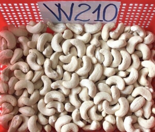 W-240 Cashews (Standard Export Grade)